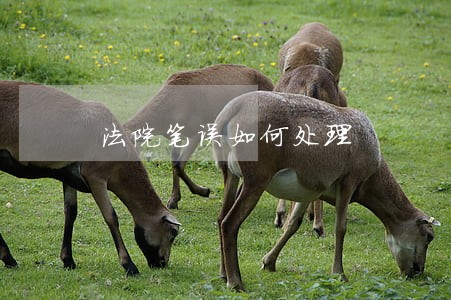 法院笔误如何处理 法院笔误如何处理