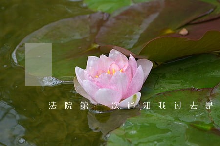 法院第一次通知我过去是干什么 法院第一次通知我过去是干什么