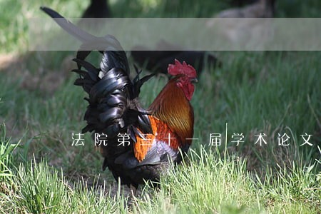 法院第三十一届学术论文征文选题