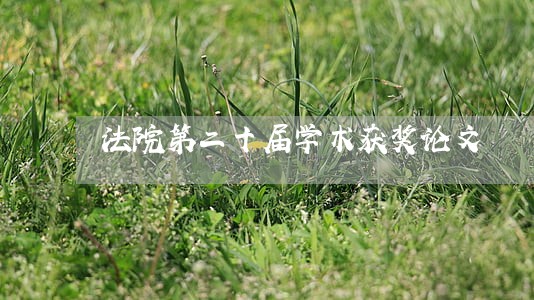 法院第二十届学术获奖论文