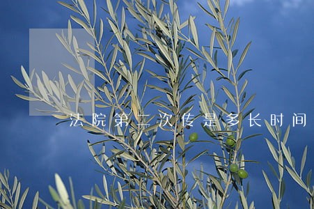 法院第二次传是多长时间 法院第二次传是多长时间