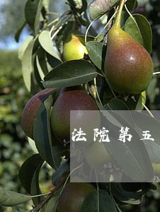 法院第五届微电影 法院第五届微电影