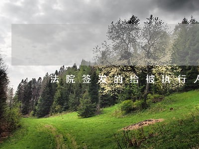 法院签发的给被执行人传票 法院签发的给被执行人传票