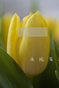 法院简报模板免费下载 法院简报模板免费下载