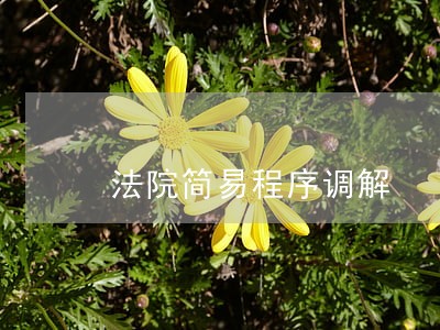 法院简易程序调解 法院简易程序调解
