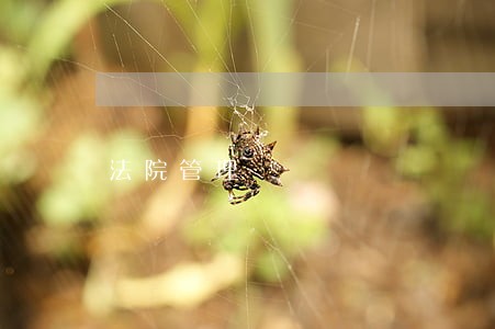 法院管理 法院管理