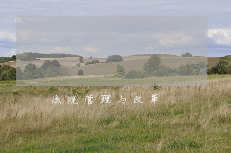 法院管理与改革 法院管理与改革