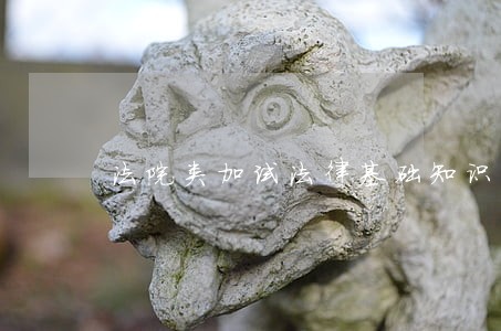 法院类加试法律基础知识的 法院类加试法律基础知识的