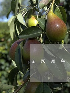 法院精细化管理与改革 法院精细化管理与改革
