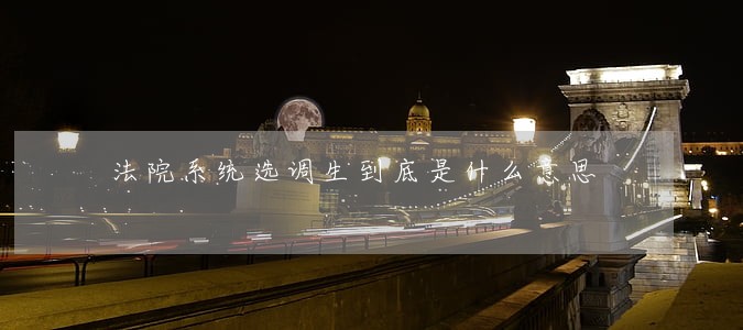 法院系统选调生到底是什么意思 法院系统选调生到底是什么意思