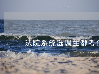 法院系统选调生都考什么 法院系统选调生都考什么