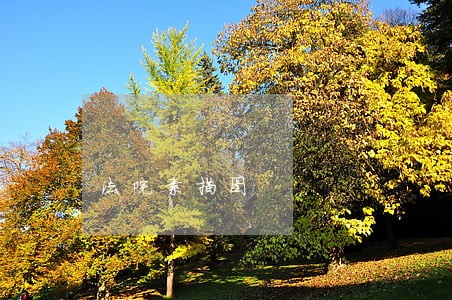 法院素描图 法院素描图