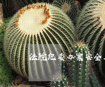 法院纪委办案安全工作办法 法院纪委办案安全工作办法