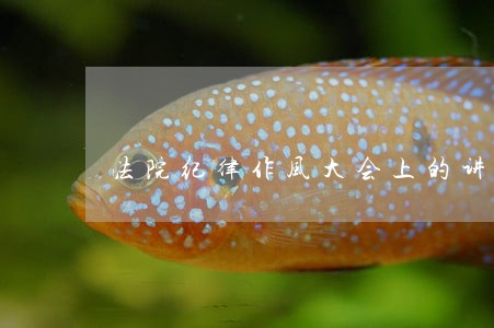 法院纪律作风大会上的讲话 法院纪律作风大会上的讲话