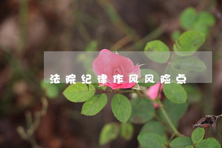 法院纪律作风风险点