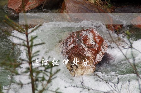法院纪律处分 法院纪律处分