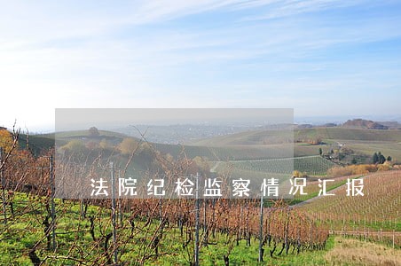 法院纪检监察情况汇报 法院纪检监察情况汇报