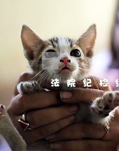 法院纪检组长的讲话 法院纪检组长的讲话