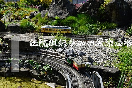 法院组织参加扫黑除恶培训 法院组织参加扫黑除恶培训