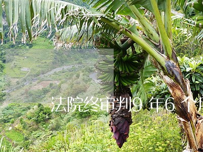 法院终审判9年6个月