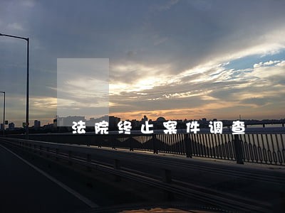 法院终止案件调查 法院终止案件调查