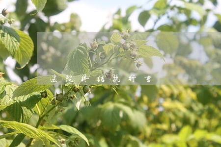 法院终结执行书 法院终结执行书