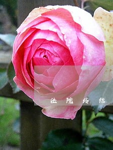 法院终结执行后如何维权 法院终结执行后如何维权