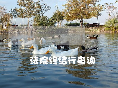 法院终结行查询 法院终结行查询