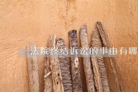 法院终结诉讼的事由有哪些