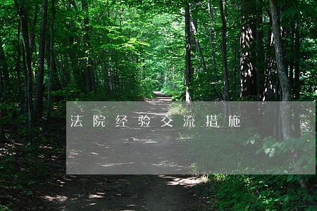 法院经验交流措施 法院经验交流措施