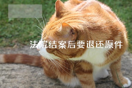 法院结案后要退还原件 法院结案后要退还原件