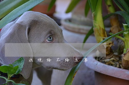 法院给不给立案 法院给不给立案