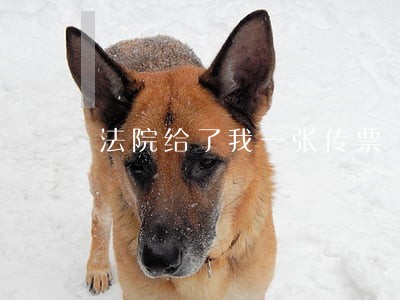 法院给了我一张传票 法院给了我一张传票