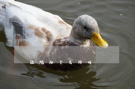 法院给予支持吗 法院给予支持吗