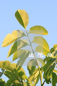 法院给你整得明明白白 法院给你整得明明白白