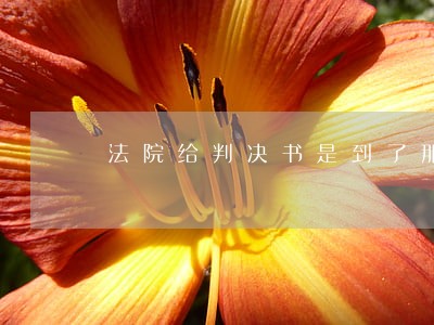 法院给判决书是到了那一步 法院给判决书是到了那一步
