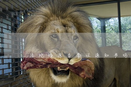 法院给原告举证通知书吗 法院给原告举证通知书吗