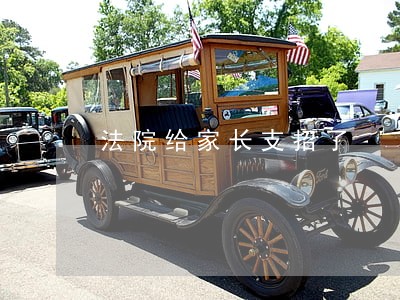 法院给家长支招了 法院给家长支招了