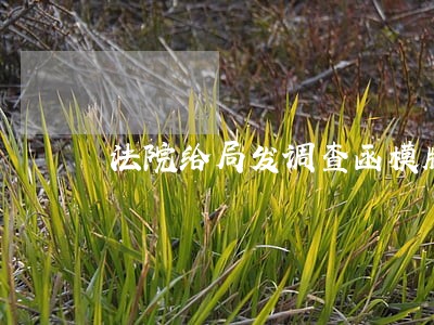 法院给局发调查函模版 法院给局发调查函模版