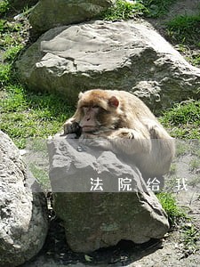 法院给我判了抚养费 法院给我判了抚养费