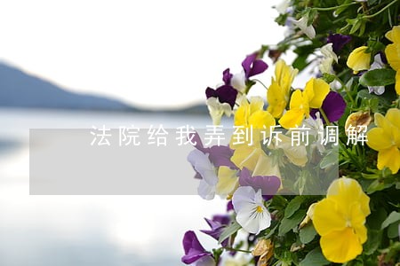 法院给我弄到诉前调解 法院给我弄到诉前调解