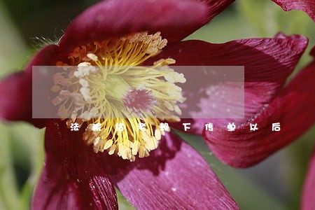法院给老赖下传单以后 法院给老赖下传单以后