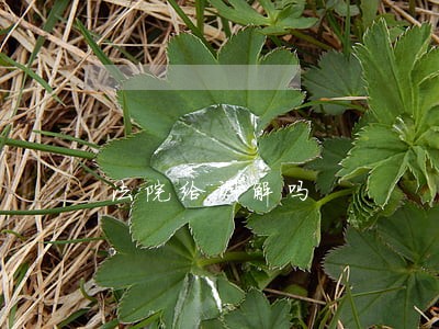 法院给调解吗 法院给调解吗