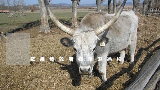 法院绩效考核情况通报 法院绩效考核情况通报