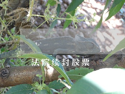 法院续封股票 法院续封股票