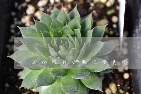 法院续封还收保全费吗 法院续封还收保全费吗