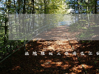 法院维权工作情况汇报 法院维权工作情况汇报