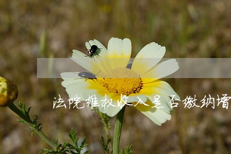 法院维权收入是否缴纳增值税 法院维权收入是否缴纳增值税