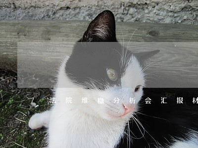 法院维稳分析会汇报材料 法院维稳分析会汇报材料