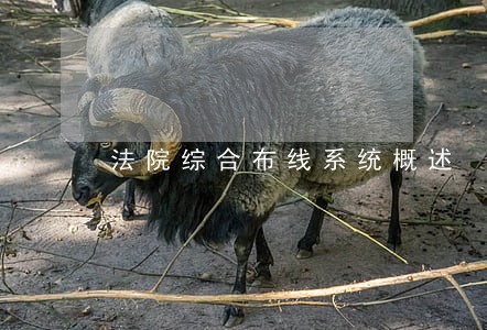 法院综合布线系统概述 法院综合布线系统概述